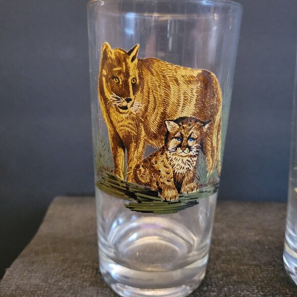 West Virgina Glass West Virginia Wildlife Woodland Animals 11oz Glass Set Of 5 - Picture 5 of 9
